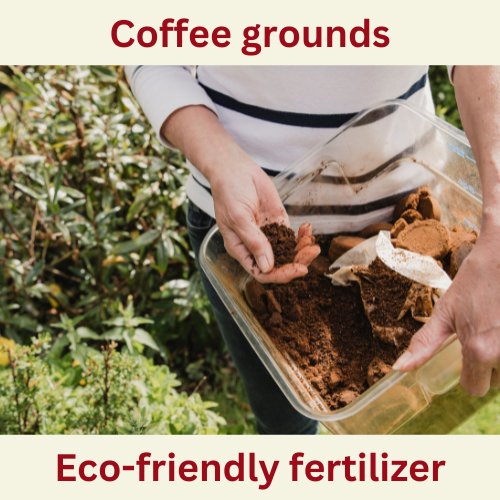 Boost Your Garden's Growth: Harnessing the Benefits of Coffee Grounds as Natural Fertilizer - Coffee Purrfection