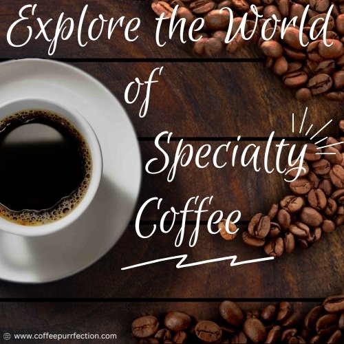 Exploring the World of Specialty Coffee - Coffee Purrfection