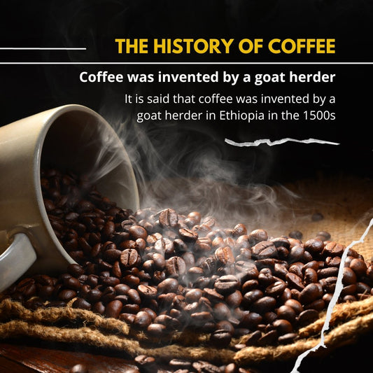 The History of Coffee - Coffee Purrfection