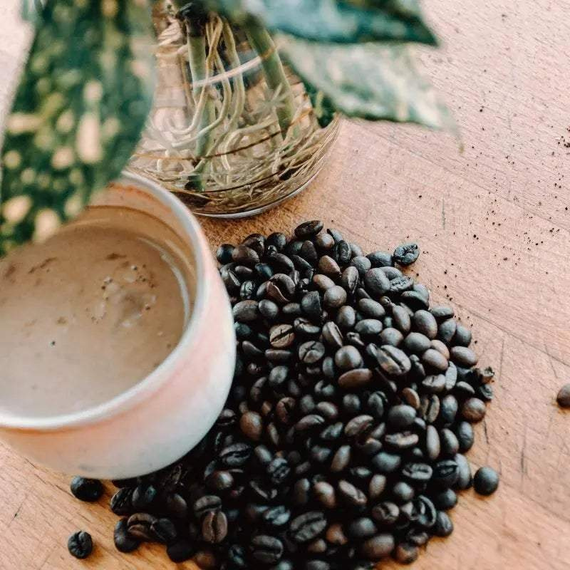 Papua New Guinea Coffee - Coffee Purrfection